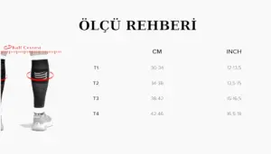 R2V3 - Kalf / Baldır Çorabı V.3 |Compressport